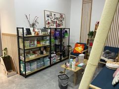 -山宅一喵德文卷毛猫舍