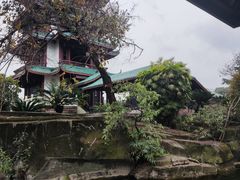 -桂湖森林公园