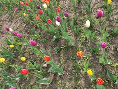 -长春公园(普阳街道)