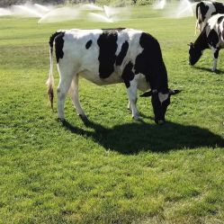 -华卫思理轻奢造型