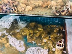 -87号烧烤海鲜·大排档(金沙滩店)