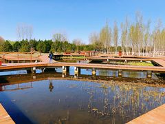 -东郊湿地公园