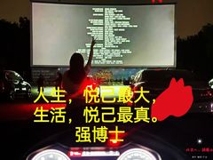 -枫花园汽车电影院(朝阳公园店)