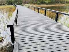 -长广溪湿地公园