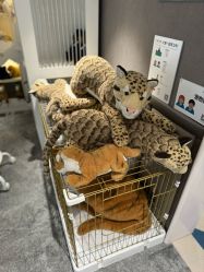 -奈尔宝·儿童乐园·亲子餐厅(华采天地店)