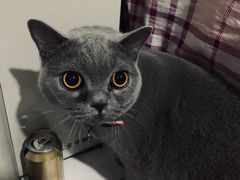 -东方之珠洗浴休闲广场(和平店)