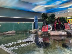 -鸿通城购物中心