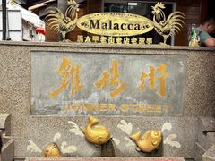 -马六甲鸡场街