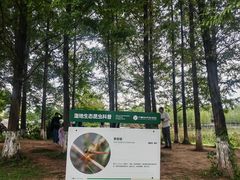 -白鹭湾湿地公园