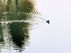 -尚贤河湿地