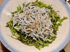银鱼沙拉-鳥良商店