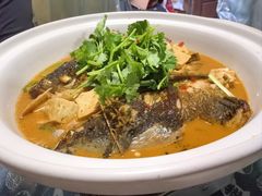 -军子大排档(迎春花园店)