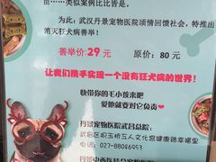 -丹景宠物医院·全科·老年病·牙科(武昌诊疗中心)