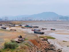 -北岐滩涂