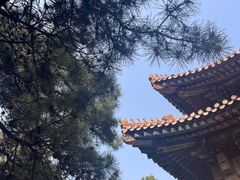 -清东陵
