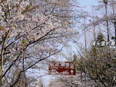 -鸡鸣寺