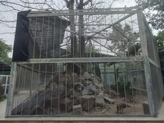 -水绘园