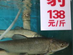 -高坎一品甲鱼庄(两河店)