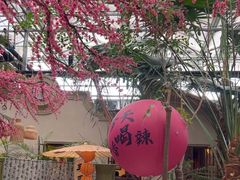 -世外桃源农庄·德清土菜(兴康南路店)