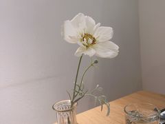 -麓椿花园西餐厅(海乐世界店)