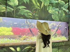 -海合安成都极地海洋公园