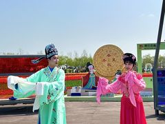 -荷兰花海