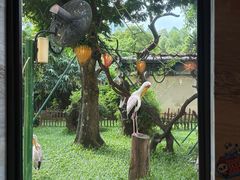 -熊猫自助餐厅.萌趣城堡(长隆熊猫酒店)