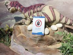 -安徽省地质博物馆