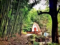 -广州市帽峰山景区