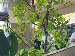 -潮牛壹号鲜牛肉火锅(光谷天地店)