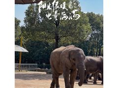 -常州淹城野生动物世界