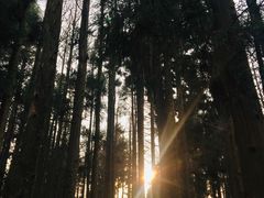 -山王坪喀斯特国家生态公园