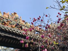 -陈家祠堂-游客中心