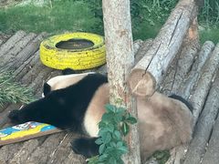 -大连森林动物园