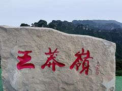 -王莽岭风景区