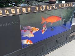 -百岁我家酸菜鱼(龙湾万达店)