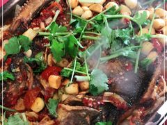 -成都美食巫山烤鱼(三里河路店)