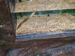 -上海大自然野生昆虫馆(东方明珠·爬宠昆虫探索中心)