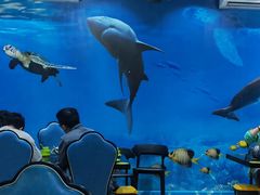 -小海豚•老字号海鲜餐厅(天涯店)