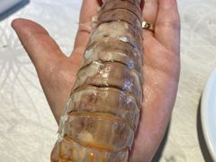 -越百海海鲜蒸锅(乐山店)