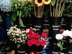 -FEI FEI FLOWER鲜花店·气球派对·宝宝宴布置(虹口德必运动Loft店)