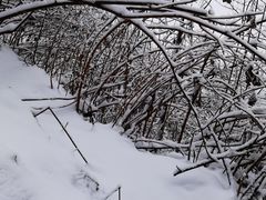 -九峰山