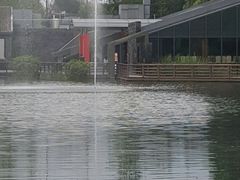 -成飞公园