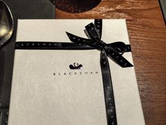 -BLACKSWAN黑天鹅(环球店)