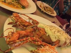 -Red Lobster