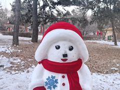 -长春市南湖公园