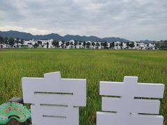 -东梓关景区村庄