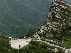 -朱雀国家森林公园