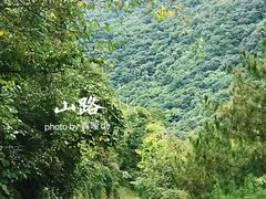 -黑河国家森林公园