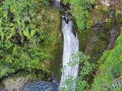 -鹿院坪生态旅游景区